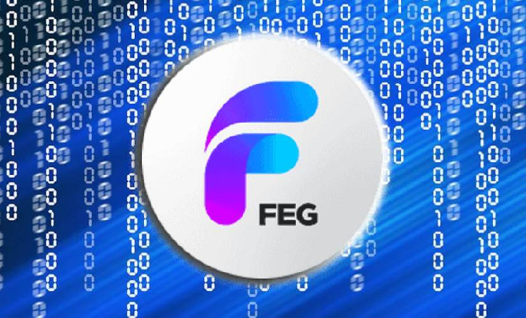 
			FEG потеряла $900 тыс. из-за уязвимости в мосту Wormhole		