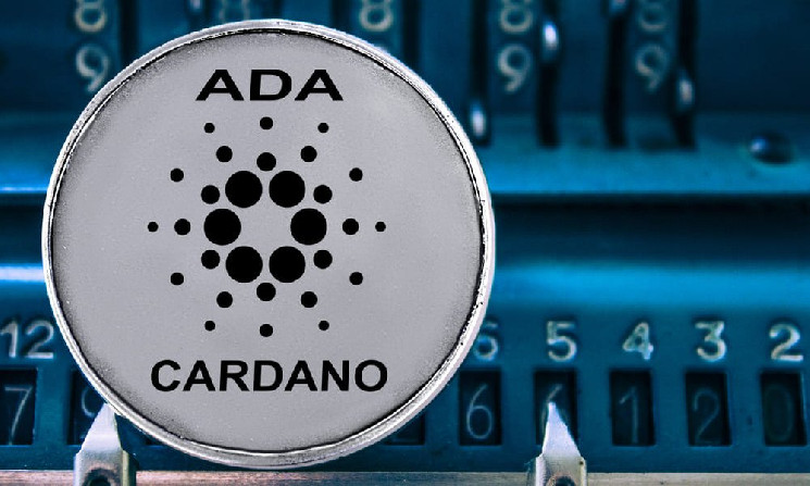 
			Цена Cardano (ADA) выросла на 5%		