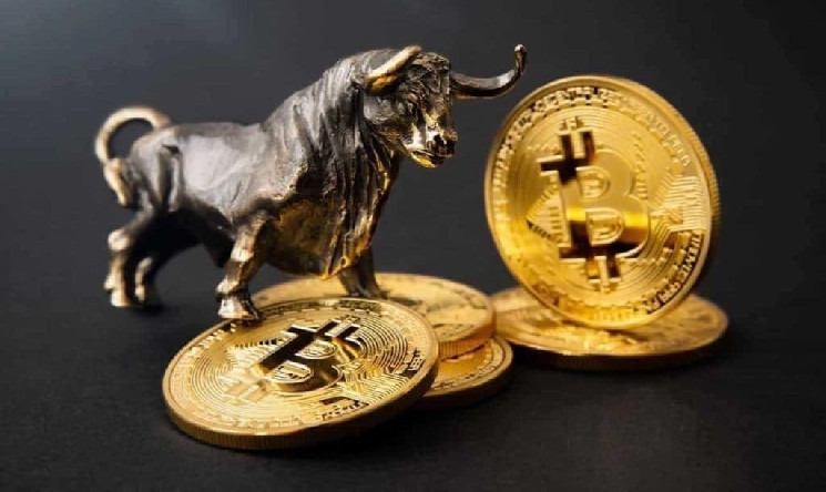 
			Согласно волновой теории, биткоин подорожает до $300,000		