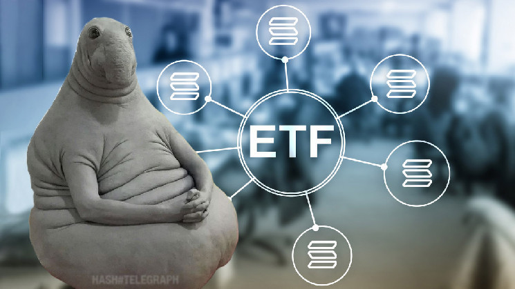 
			Solana-ETF &mdash; реальность или мечта 2025 года?		