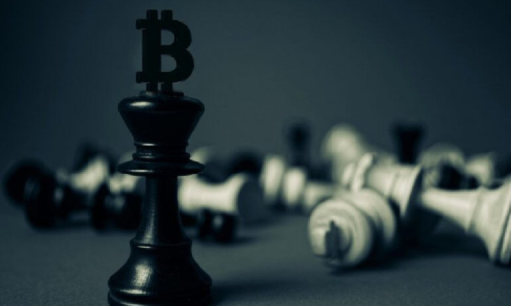 
			Sui объявляет о 12 проектах		