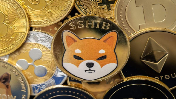 
			Сообществу Shiba Inu пообещали грандиозное событие и перемены		