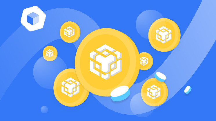 
			Токен BNB обошел по капитализации Solana		