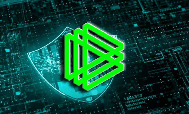 
			ZachXBT становится советником Paradigm		