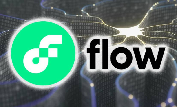 
			Flow показал рост на 91,6% TVL в Q4 2024 года		