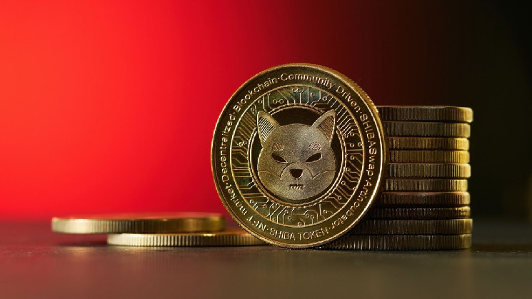 
			Все владельцы Shiba Inu могут быть спокойны: SHIB &mdash; их биткоин		