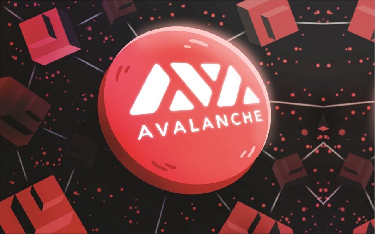 
			Avalanche внедрила Octane: комиссии на транзакции резко упали		