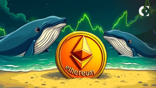 
			Что знают киты Ethereum, чего не знаем мы?		