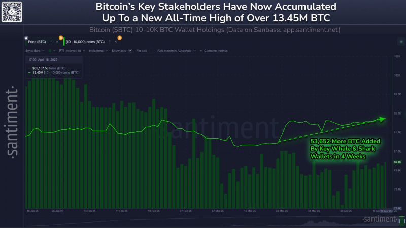 
			Киты скупили биткоин на $4,7 млрд: цена BTC достигла $87 400		