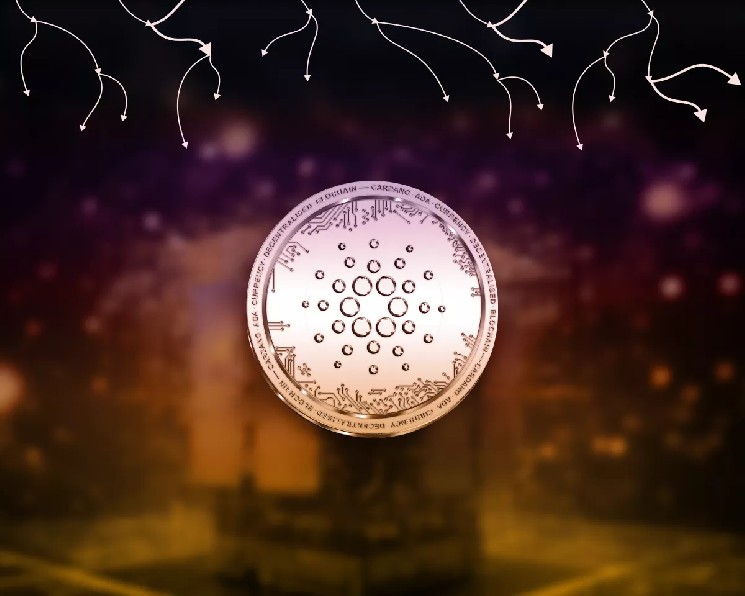 
			Brave добавил поддержку Cardano		