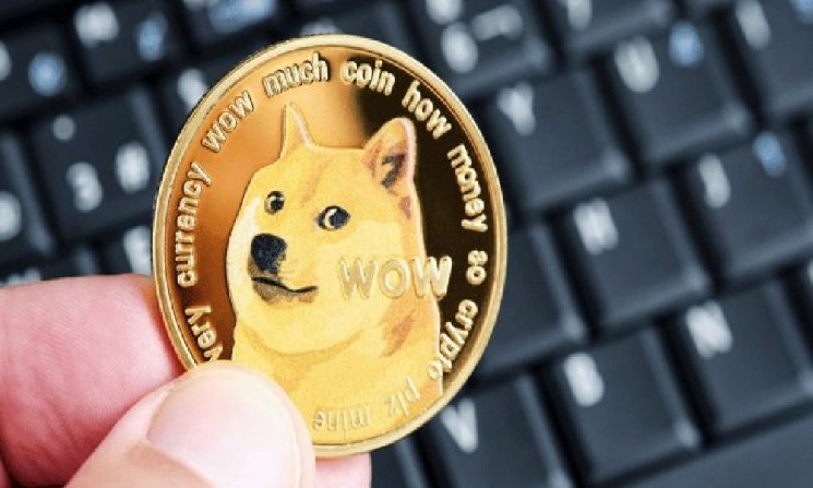 
			Dogecoin Insider предупреждает о критической уязвимости в системе безопасности		