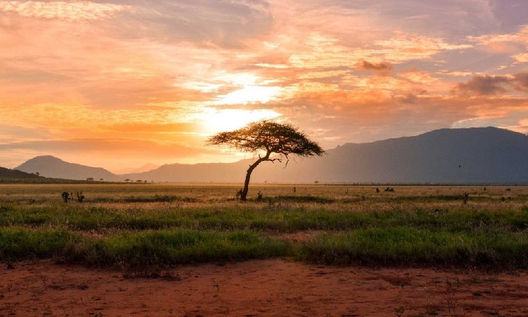 
			Hedera Africa Hackathon стартовал с&nbsp;призовым фондом в&nbsp;$1&nbsp;млн и&nbsp;фокусом на&nbsp;Web3		