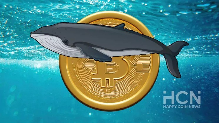 
			Криптокиты накапливают биткоины в период консолидации цены BTC		