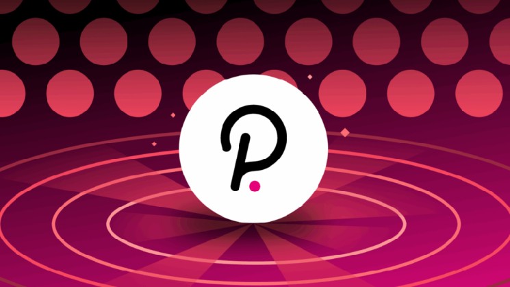 
			Polkadot рассматривает возможность покупки Bitcoin за 500,000 DOT		