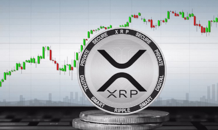 
			SEC против Ripple: последнее решение может стать решающим		