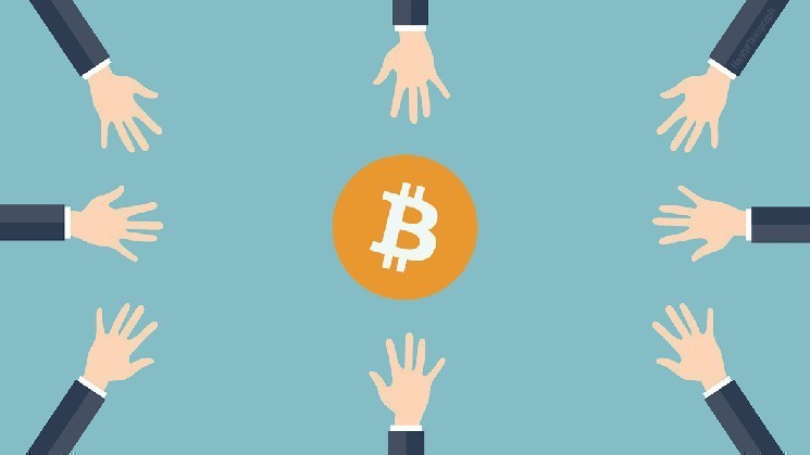 
			Кто владеет биткоином: карта цифрового богатства 2025 года		