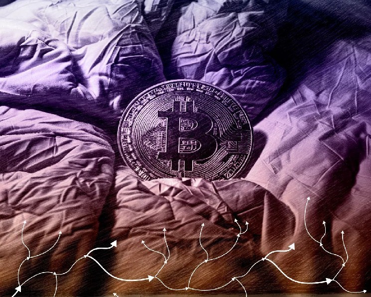 Перевод биткоинов на $8,6 млрд породил споры о личности владельца