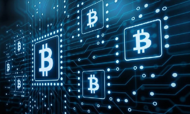 
			Российские компании будут оштрафованы за выплату зарплат в криптовалюте		