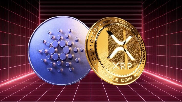 
			Cardano и Ripple намекают на стратегическое партнерство		