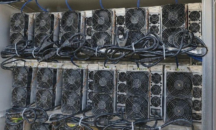 
			Самые прибыльные ASIC-майнеры в августе 2025 года: рейтинг		