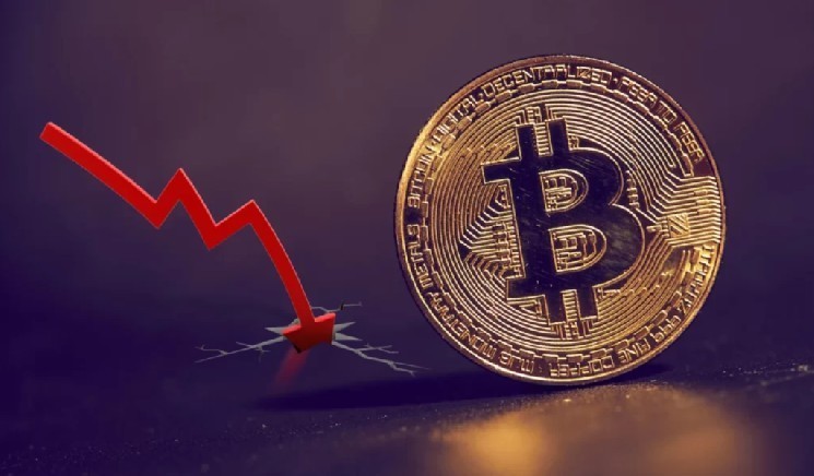 
			Генеральный директор американского компании заявил, что биткоин (BTC) &laquo;находится именно там, где должен быть!&raquo; и поделился своим прогнозом минимальной цены!		