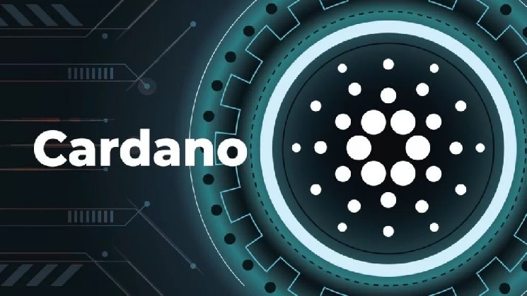 
			Генеральный директор фонда Cardano (ADA) сделал многообещающие прогнозы относительно будущего ADA!		