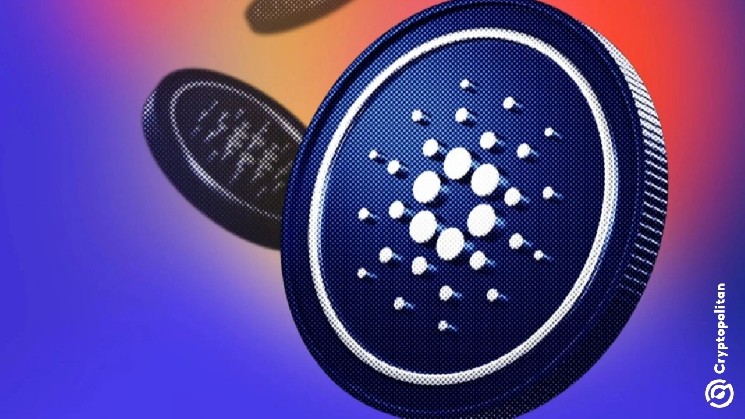 
			Самый серьёзный кризис с кошельками Cardano? Пользователи теряют 16 миллионов ADA		