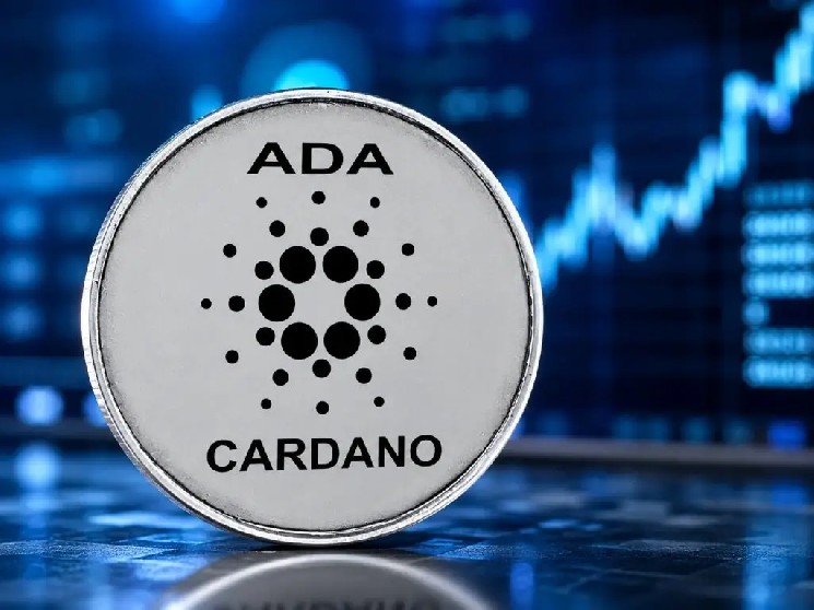 
			Cardano нашла крупного партнера из Бразилии: нефтяной гигант внедряет авиационное топливо в блокчейн! Вот подробности		
