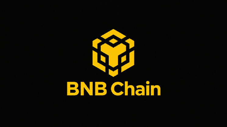 
			BNB Chain: держателей RWA достигло 2 млн &mdash; 40% рынка ончейн-активов		