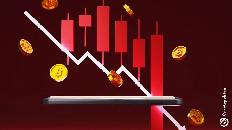 
			Год закрытий: какие сети сворачивают деятельность в 2026?		